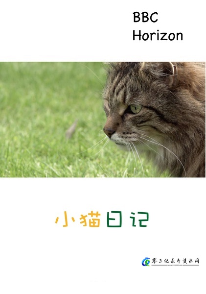 自然纪录片《小猫日记 Little Cat Diaries》下载-零三纪录片资源网