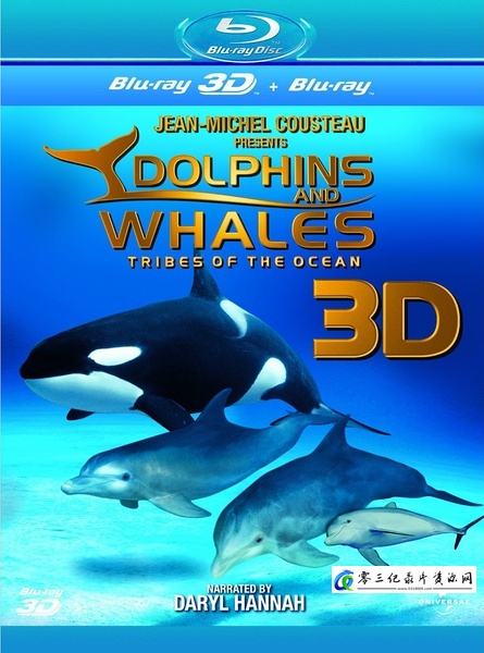 自然纪录片《海豚和鲸鱼 3D Dolphins & Whales Tribes of the Ocean 3》下载-零三纪录片资源网