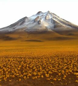 旅行纪录片《未曾发现的美景:智利 未曾发现的美景:智利》下载-零三纪录片资源网