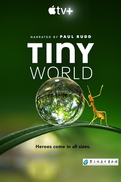 小小世界 第1-2季 Tiny World Season 1-2的海报