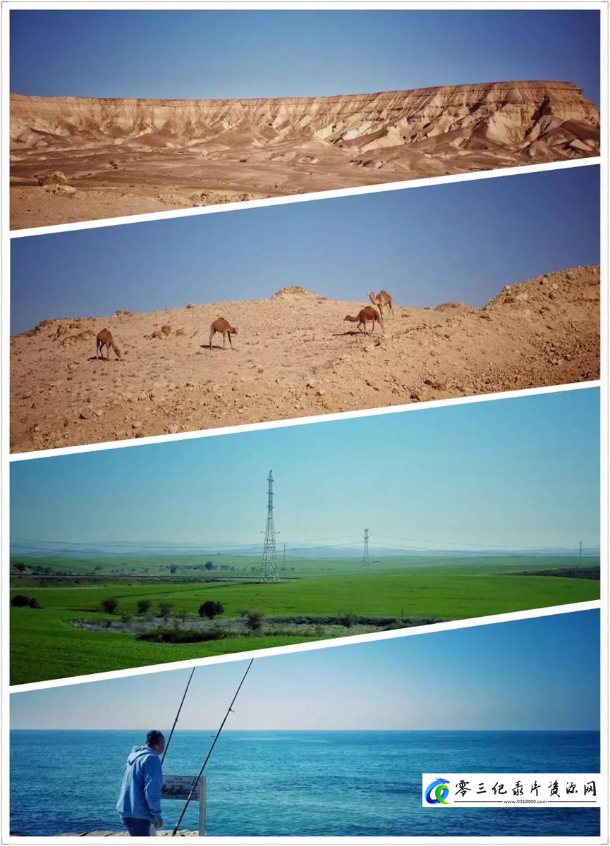 自然纪录片《最后的地中海森林 Wild Med》下载-零三纪录片资源网