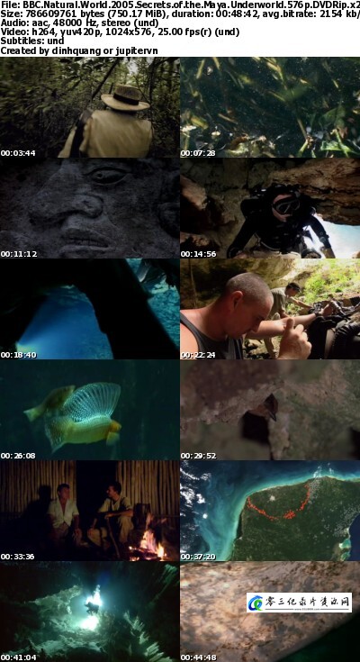 历史纪录片《玛雅地下世界之谜 Natural World: Secrets of the Maya Underworld》下载-零三纪录片资源网