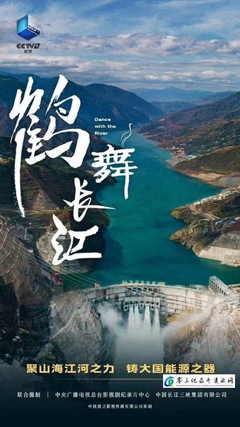鹤舞长江 鹤舞长江的海报