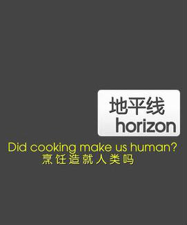 探索纪录片《烹饪造就人类吗 Did Cooking Make Us Human》下载-零三纪录片资源网