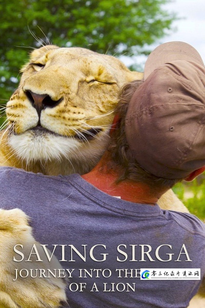 拯救希尔加:走进狮子内心的旅程 Saving Sirga的海报