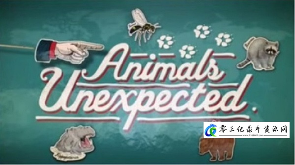 不期而至的动物 Animals Unexpected的海报