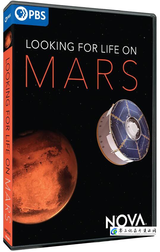寻找火星生命 Looking For Life on Mars的海报
