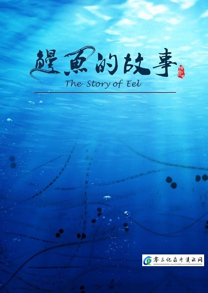 美食纪录片《鳗鱼的故事  The Story of Eel》下载-零三纪录片资源网