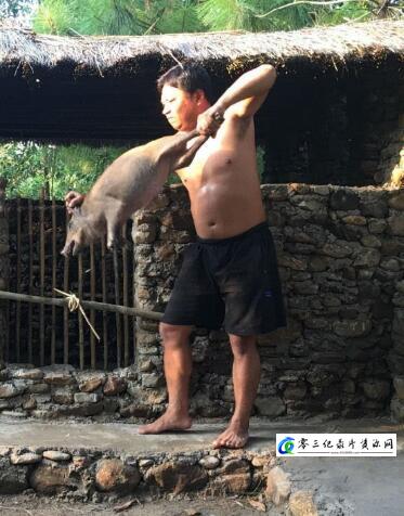 社会生活纪录片《原始生活 Primitive Life》下载-零三纪录片资源网