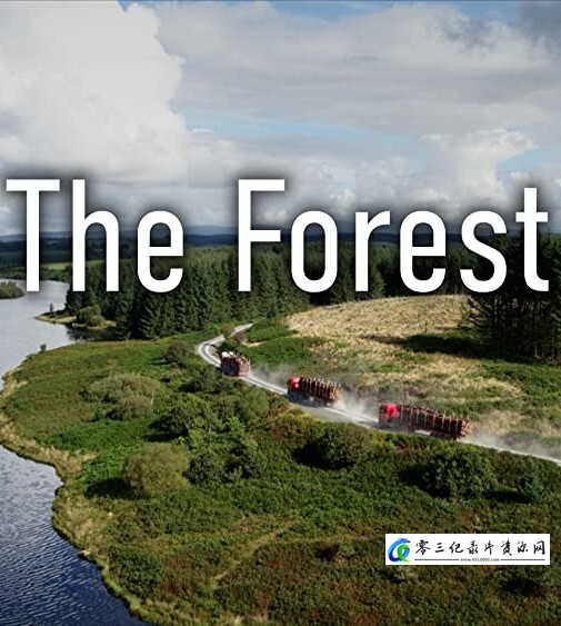 自然纪录片《森林 The Forest / 森林隐秘世界》下载-零三纪录片资源网