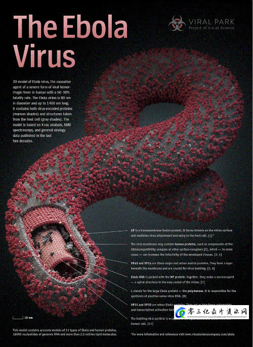 探索，事件纪录片《瘟疫抗战 对抗埃博拉 The Fight Against Ebola》下载-零三纪录片资源网