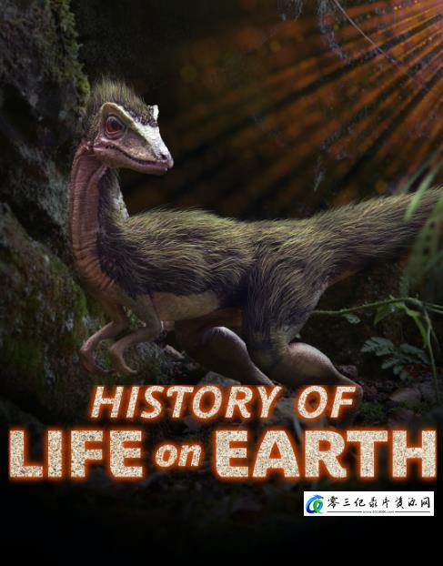 自然纪录片《地球生命史 History Of Life On Earth》下载-零三纪录片资源网