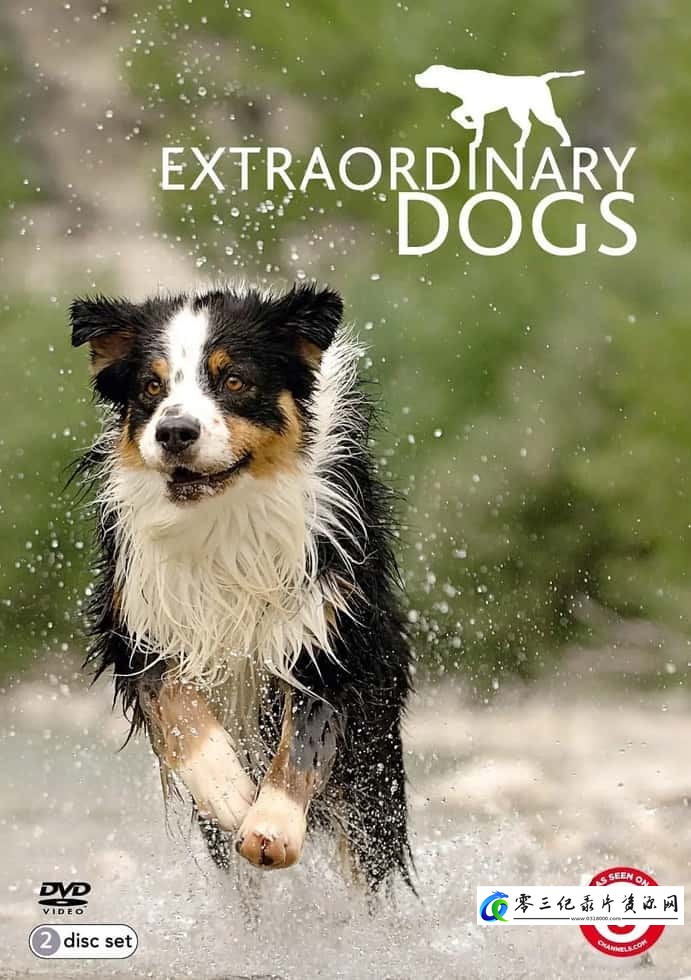 自然纪录片《非凡的狗儿 Extraordinary Dogs》下载-零三纪录片资源网