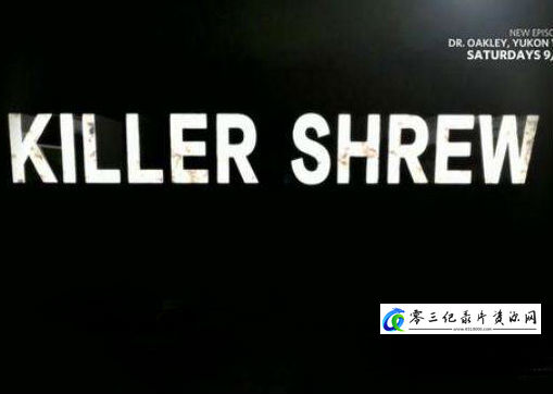 自然纪录片《荒野杀手-鼩鼱 Wild-Killer.Shrew》下载-零三纪录片资源网