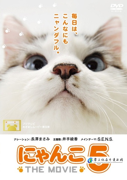 猫咪物语5 THE MOVIE 5的海报