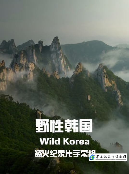 自然纪录片《野性韩国 Wild Korea》下载-零三纪录片资源网