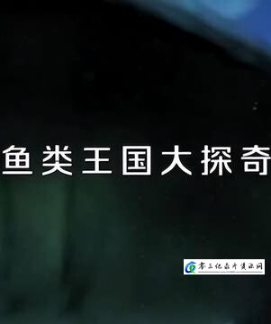 鱼类王国大探奇 鱼类王国大探奇的海报