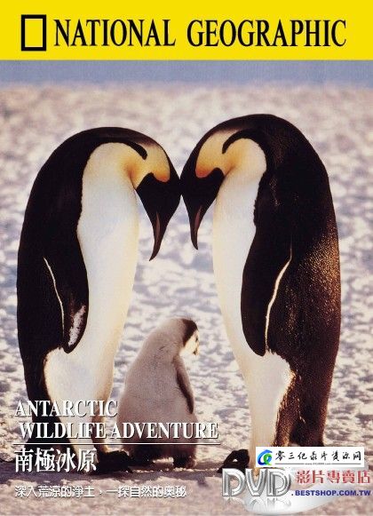 自然纪录片《南极冰原 Antarctic Wildlife Adventure》下载-零三纪录片资源网