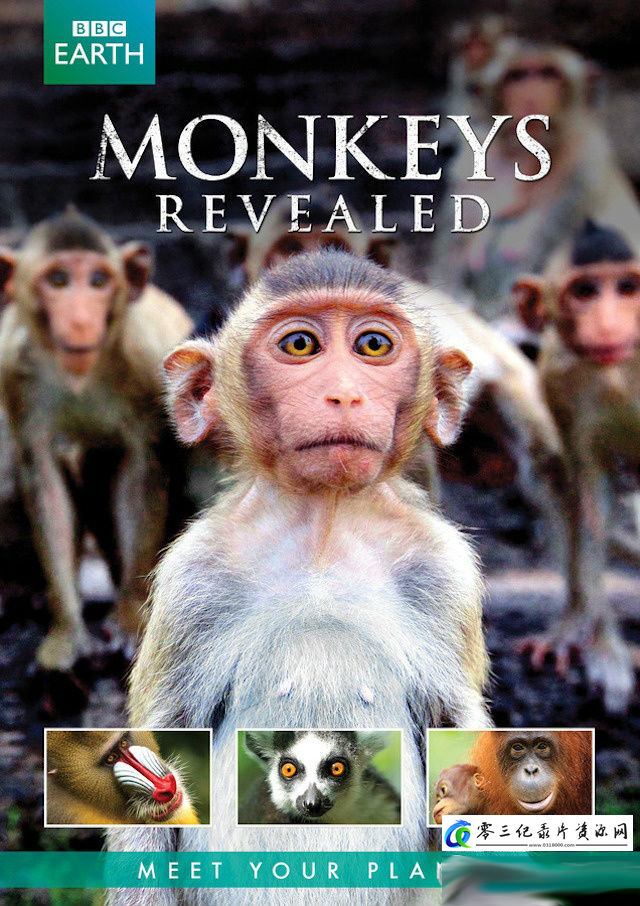 猴子大观 Monkeys Revealed的海报