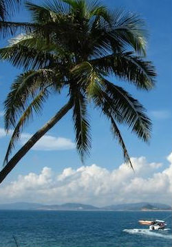 自然,旅行纪录片《印象海南 Impression HaiNan》下载-零三纪录片资源网