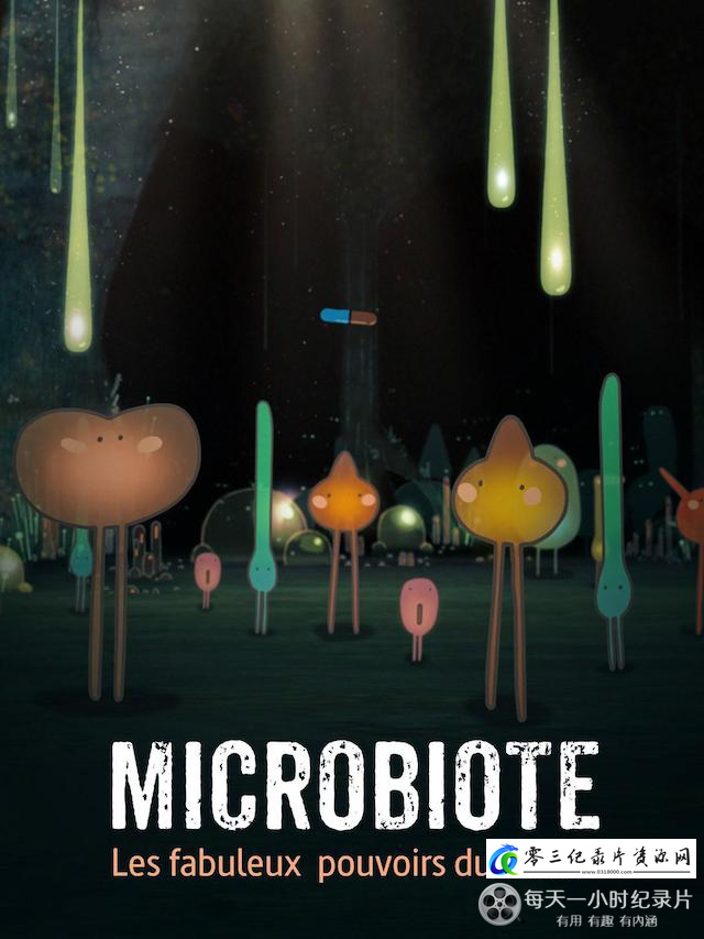 探索纪录片《不可思议的肠道菌 Microbiota:The Amazing Powers of the Gut》下载-零三纪录片资源网