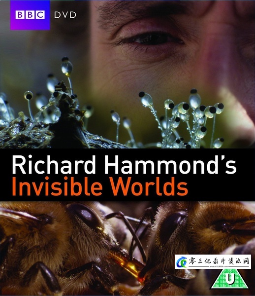 探索纪录片《看不见的世界 Richard Hammond's Invisible Worlds》下载-零三纪录片资源网