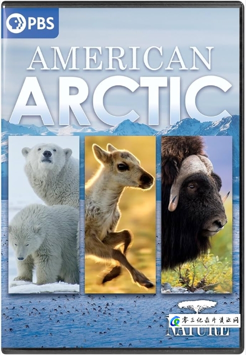 自然纪录片《美国北极 American Arctic》下载-零三纪录片资源网