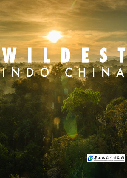 自然纪录片《中南半岛野生大地 Wildest Indochina》下载-零三纪录片资源网