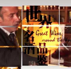 美食纪录片《世界名酒品鉴 世界名酒品鉴》下载-零三纪录片资源网