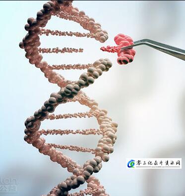 科学纪录片《医学大突破—编辑你的基因 医学大突破—编辑你的基因》下载-零三纪录片资源网