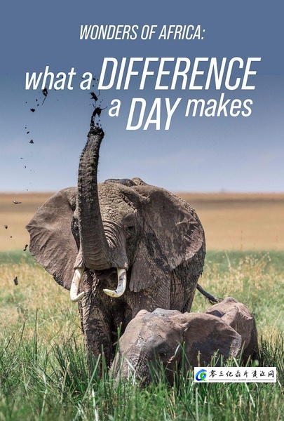 自然纪录片《非洲野生动物们的一天 Wonders of Africa》下载-零三纪录片资源网