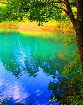 自然纪录片《里盘梯五色沼 ~神秘的水下世界~  里盘梯五色沼 ~神秘的水下世界~》下载-零三纪录片资源网