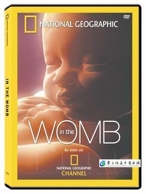 探索纪录片《子宫日记：人类篇 In the Womb》下载-零三纪录片资源网