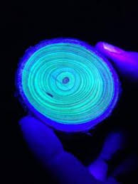 科学纪录片《走进纳米世界 Nanosurvies, les pouvoirs invisibles de la nature》下载-零三纪录片资源网