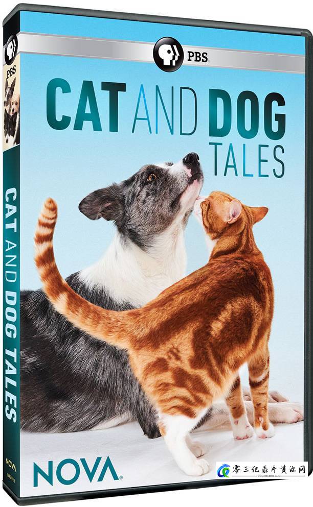 纪录片《狗的故事 Dog Tales》下载-零三纪录片资源网