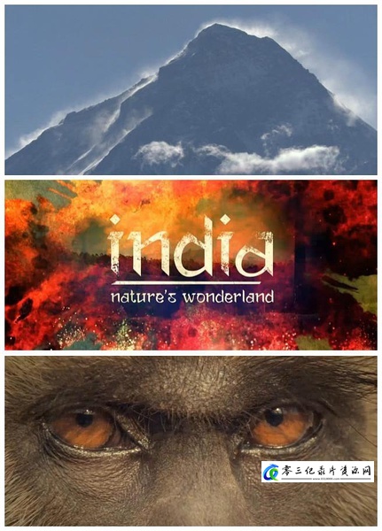 自然纪录片《印度：大自然的仙境  India: Nature’s Wonderland》下载-零三纪录片资源网