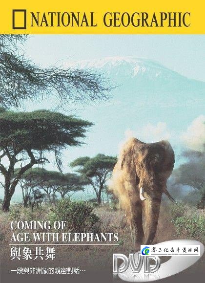 自然纪录片《国家地理百年纪念典藏 National Geographic 100 Year》下载-零三纪录片资源网