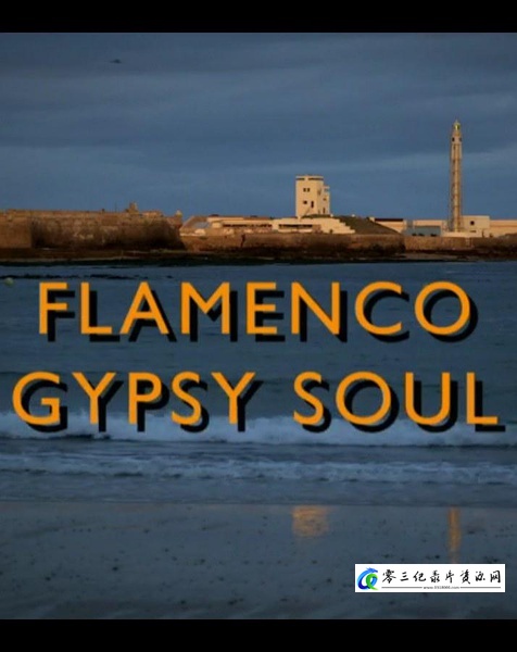 艺术纪录片《弗拉门戈：吉普赛之魂 Flamenco Gypsy Soul》下载-零三纪录片资源网