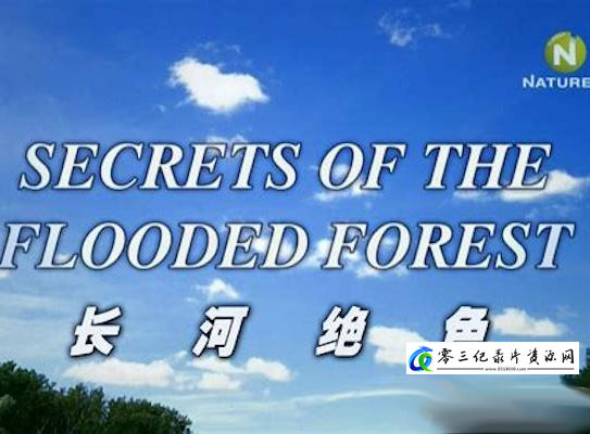 泛滥森林的秘密 长河绝色 Secrets of the Flooded Forest的海报
