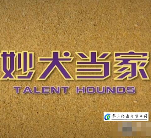 社会生活纪录片《妙犬当家 Talent Hounds》下载-零三纪录片资源网