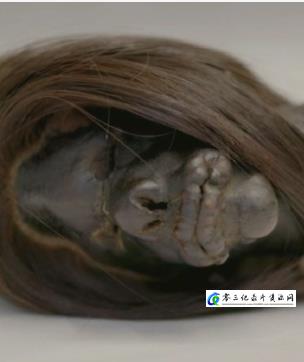 探索纪录片《古代之谜：亚马逊缩头术 Ancient Mysteries Shrunken Heads Of The Amazon》下载-零三纪录片资源网