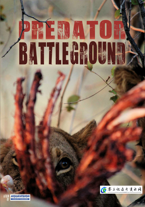 自然纪录片《掠食动物战场 Predator Battleground》下载-零三纪录片资源网