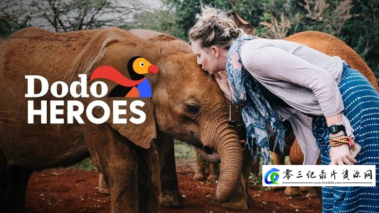 纪录片《渡渡鸟英雄：近距离的勇气 Dodo Heroes: Courage Up Close》下载-零三纪录片资源网