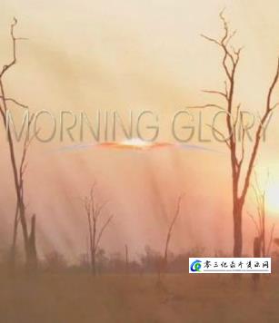 自然纪录片《清晨的盛赞 Morning Glory》下载-零三纪录片资源网