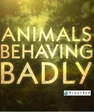动物举止背后的谎言 Animals Behaving Badly的海报