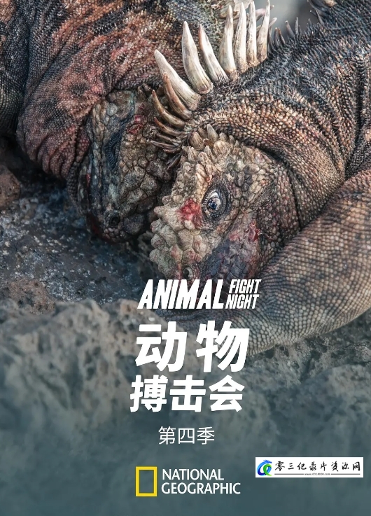 自然纪录片《动物搏击会 第2-6季全35集 Animal Fight Night》下载-零三纪录片资源网