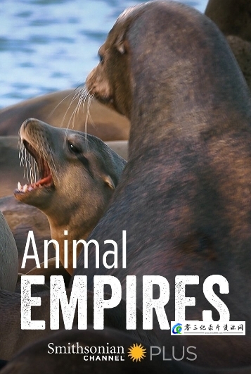 自然纪录片《动物帝国 Animal Empires》下载-零三纪录片资源网