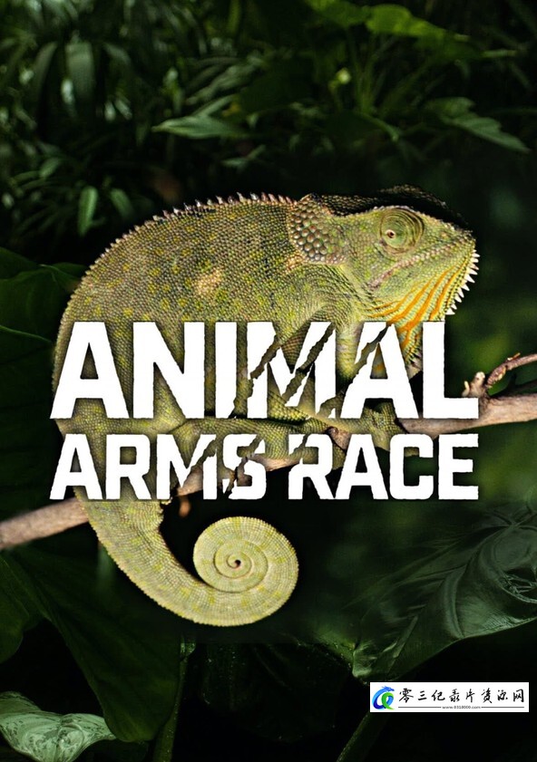 自然纪录片《动物军备竞赛 Animal Arms Race》下载-零三纪录片资源网