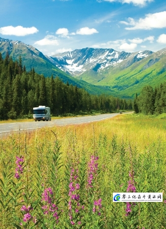 阿拉斯加之夏 Alaskan Summer的海报