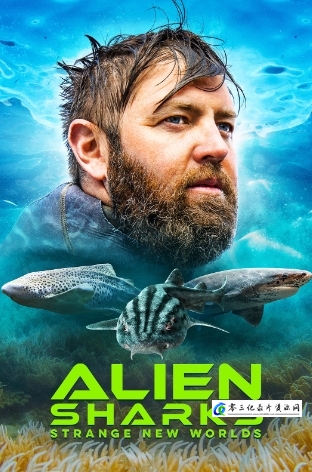 自然纪录片《外星鲨鱼：奇怪的新世界 Alien Sharks: Strange New Worlds》下载-零三纪录片资源网